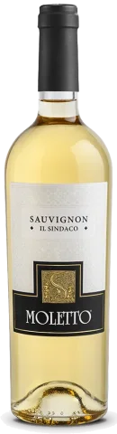 Sauvignon – Il Sindaco